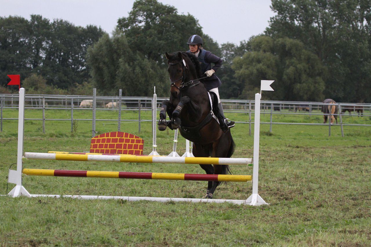 Bild 1453 - WBO-Turnier am 18.9.11